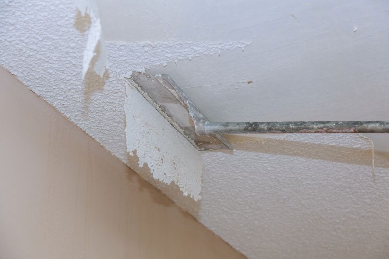 Ceiling Scraping