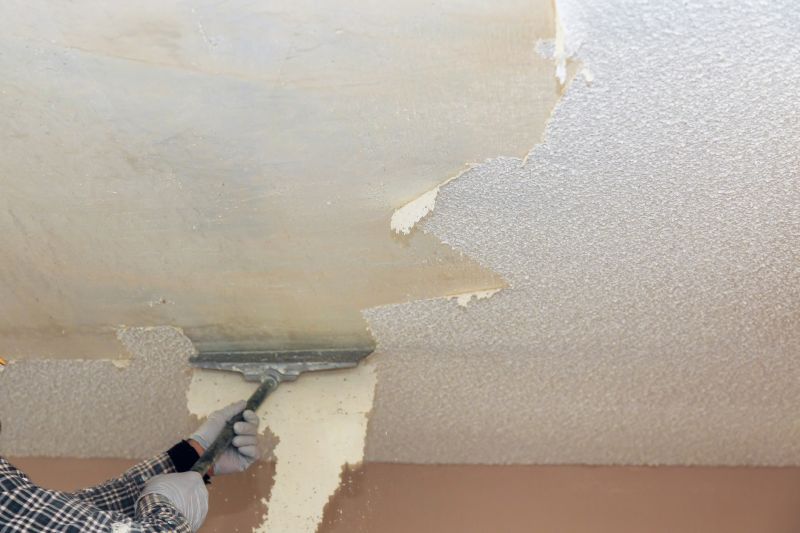 Products For Ceiling Scrapings in use