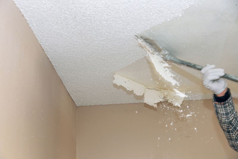 Local Ceiling Scraping pros at work
